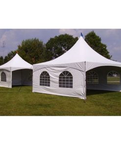 Efekto weed killer ready to use