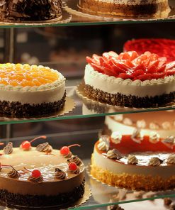 Digital Wheelchair Platform Scale