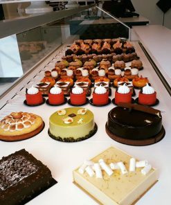 Digital Wheelchair Platform Scale