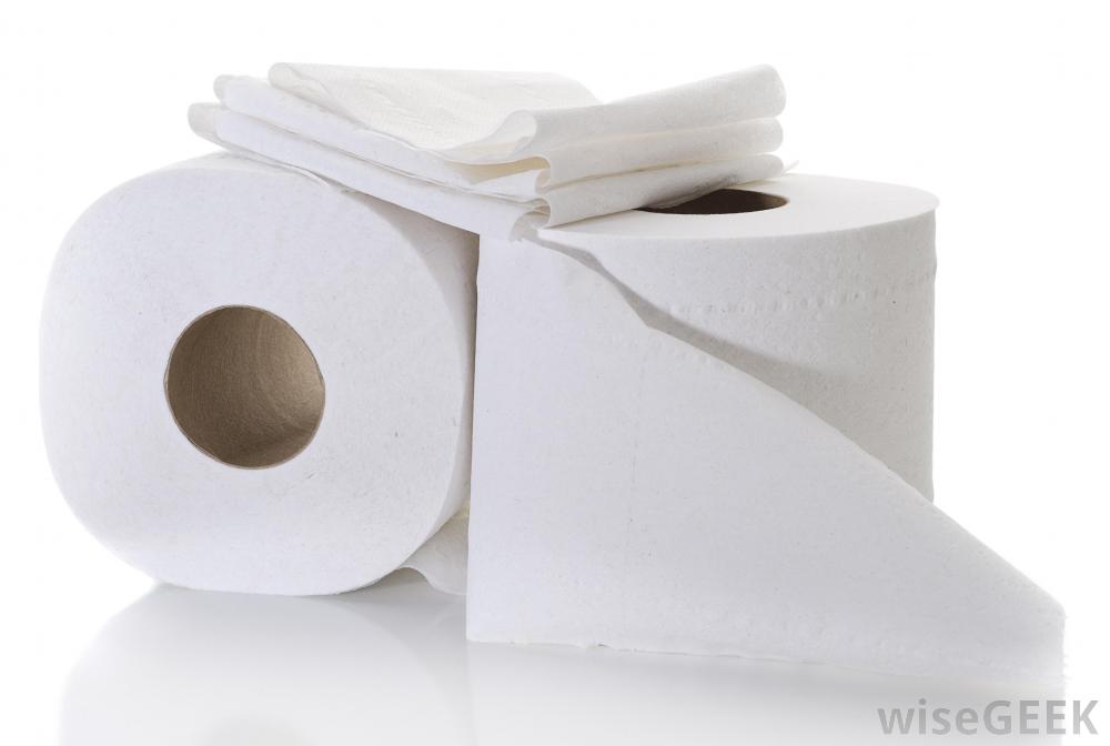 buy paper towels online