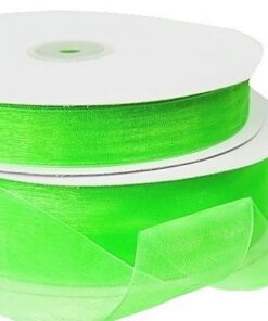 Apple Green Organza Ribbon 40mm x 100m