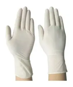Latex Powder Free Examination Gloves (100/Box)