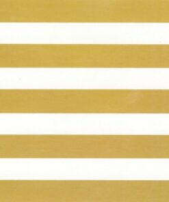 Gold Stripe on Pearl (5m x 50cm)