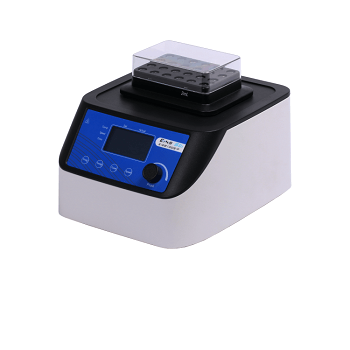 Streptomycin Sulfate Salt 25g