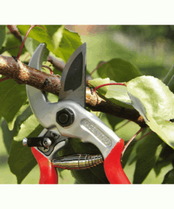 Alternative view of Castellari Universale Pruning Shear