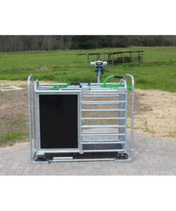 Sheep 3-Way Weigh Drafting Crate - Galvanised