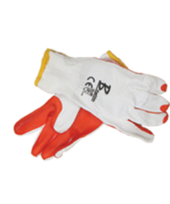 Glove Crayfish 50Mm Kwrist (G035)