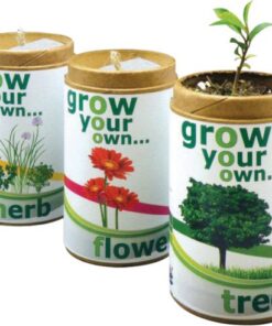 Grow your own flower-indigenous flower seeds in recycled contain